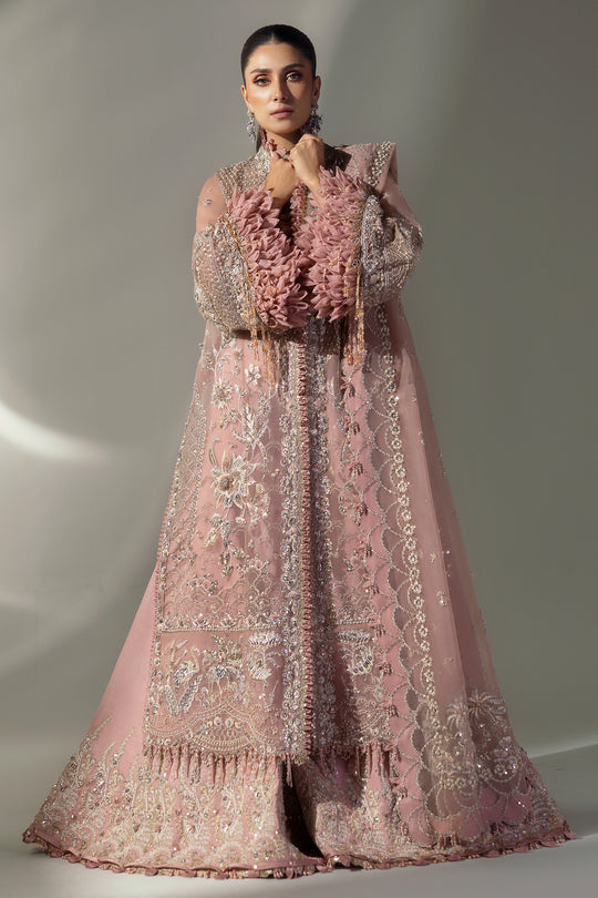 Elan | Wedding Festive 24 | CELESTIAL PETALS (EC24-07) -  Elan Ladies Clothes - Original Designer Dress - House of Maryam