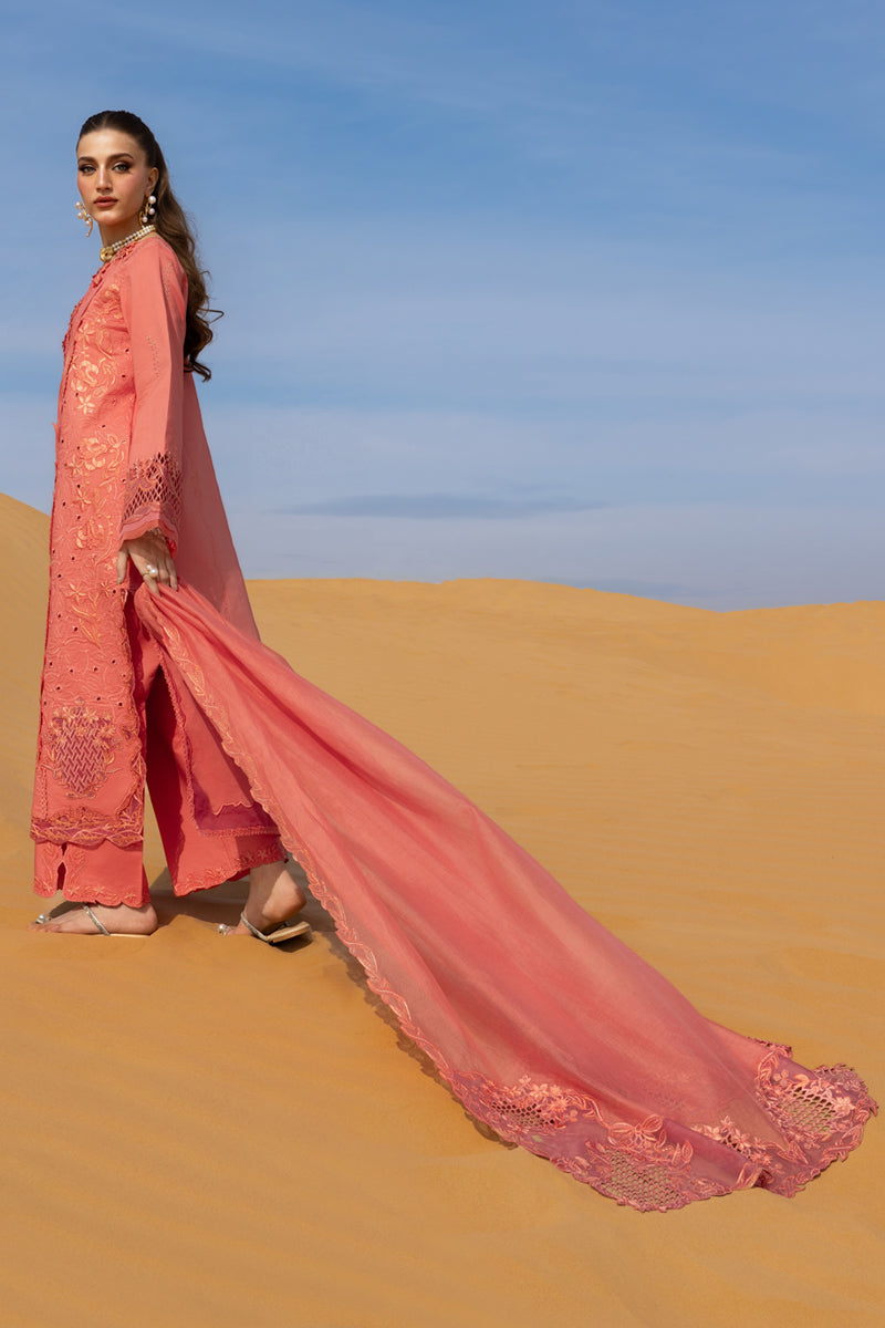Rangrasiya | Premium Summer Collection 26 | Elnaz