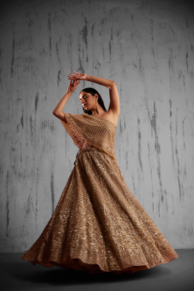 Gold Net Embroidered Lehenga Set