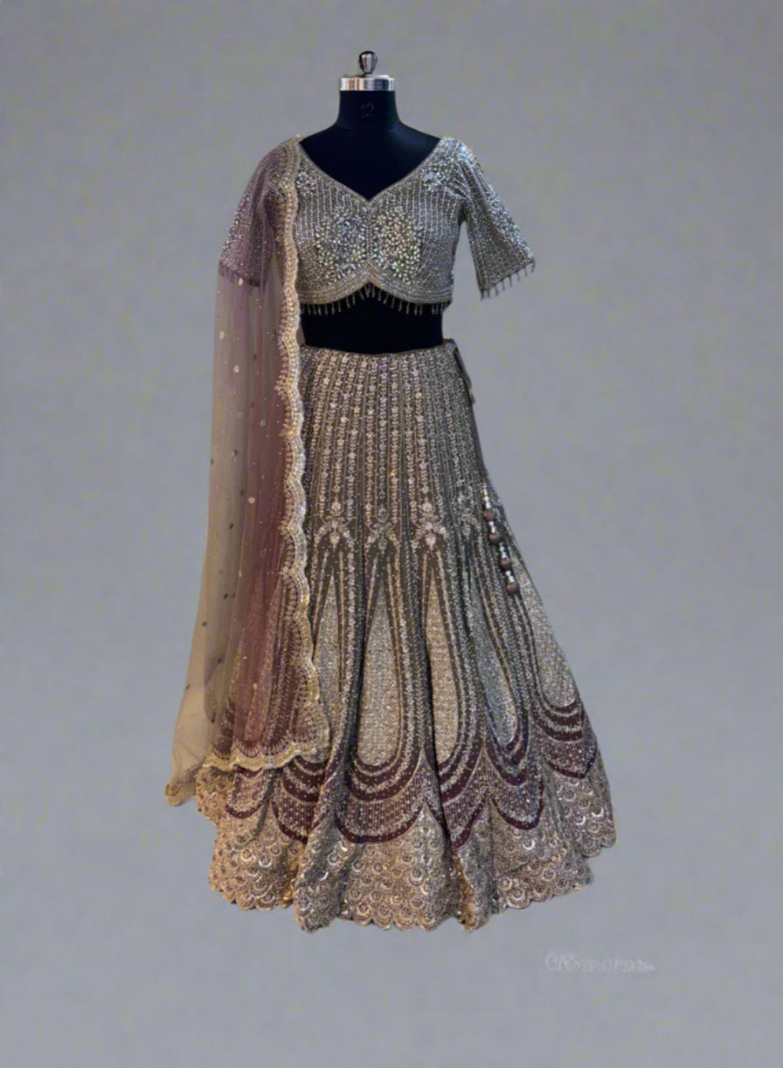 Sequins work lehenga in pure net fabric Main image