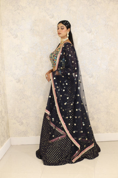 Black Lehenga And Blouse Silk Organza Hand Embroidered Zardosi Round Set