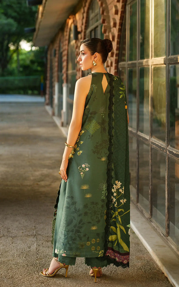 Asifa and Nabeel | Meraki Winter 25 | Jade Dusk