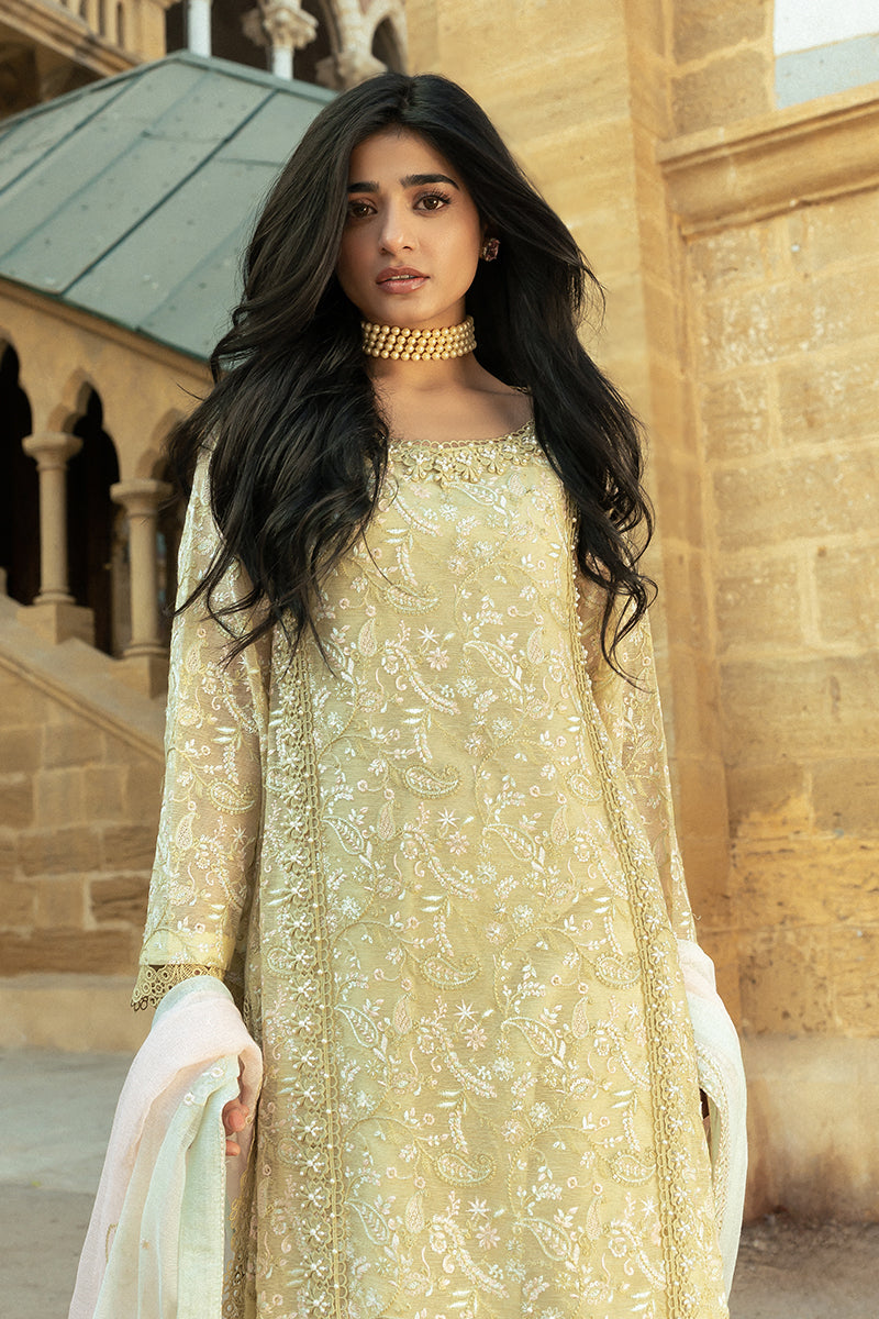 Mushq | Saugaat City of Lights | Faryal