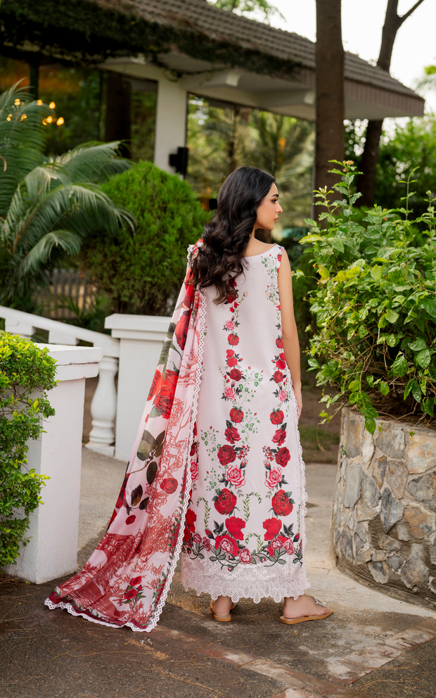 Asifa and Nabeel | Meraki SUmmer 26 | Gilded Rose MSSL-05