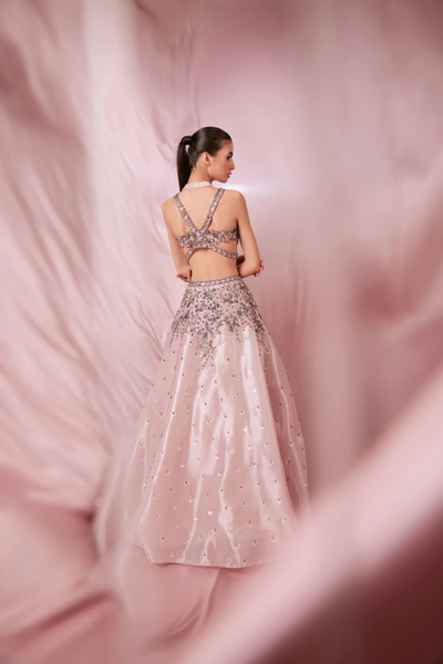 Pink Organza lehenga embellished with  zari and resham