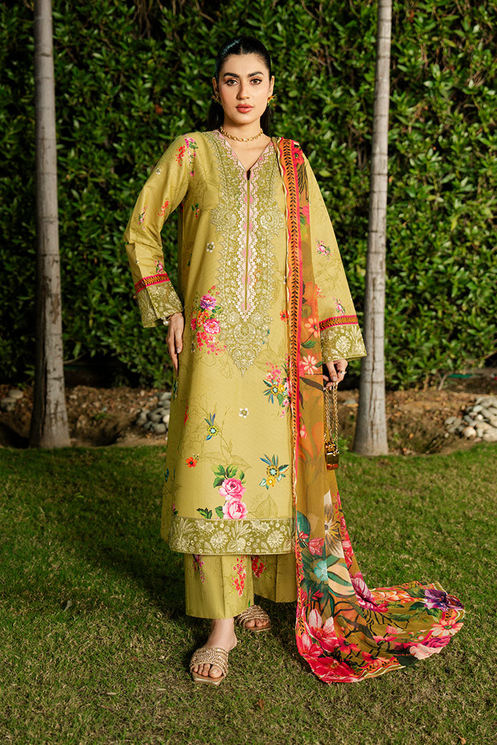 Imrozia Premium | Dahlia Lawn | SL-120 Lime Sorbet