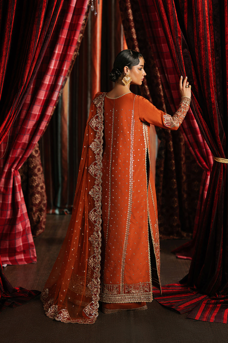 Afrozeh | Divani Silk 25 | Aafreen