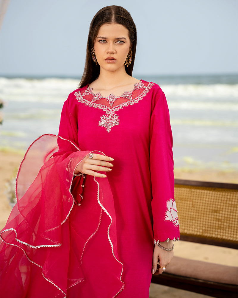 Ain | Leher Formal Luxury 25 |  AN-137