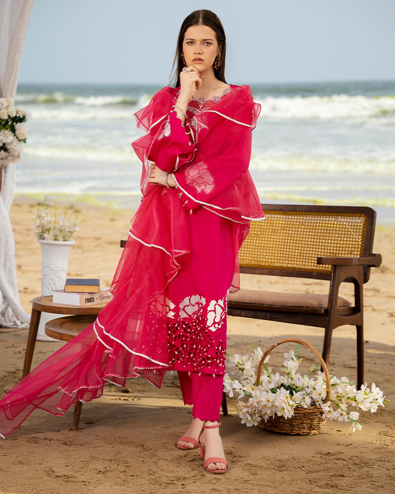 Ain | Leher Formal Luxury 25 |  AN-137
