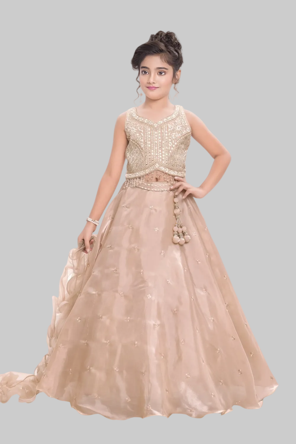 Elegant champagne lehenga with delicate embroidery
