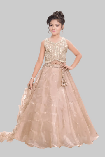 Elegant champagne lehenga with delicate embroidery
