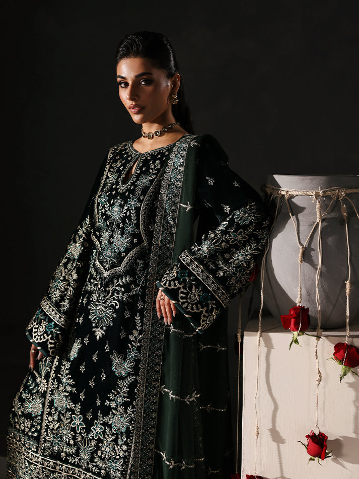 Gulaal | Marais Velvet | EVANA