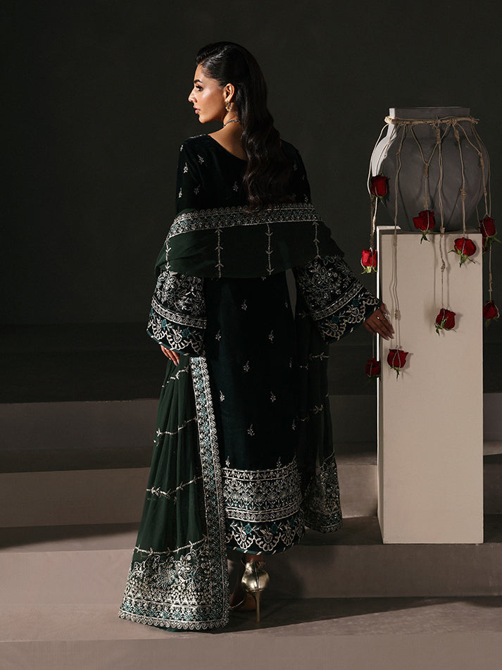 Gulaal | Marais Velvet | EVANA