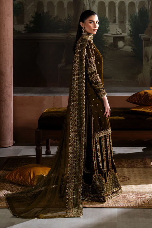 Naqshi | Nazleen Velvet | Danara