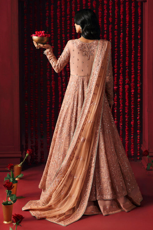 Naqshi | Roshaneh Collection | Ashiayana