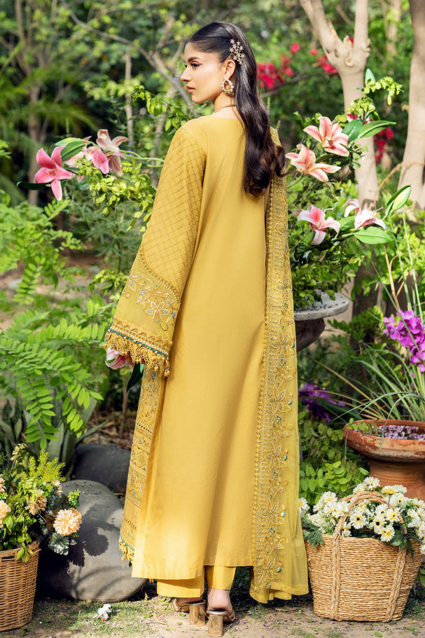 Naqshi | Festive Eid 26 | Shagufta