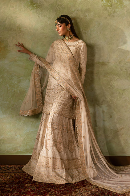 Naqshi | Ashiyana Wedding Formals | Damiya