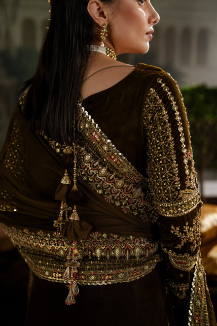 Naqshi | Nazleen Velvet | Danara