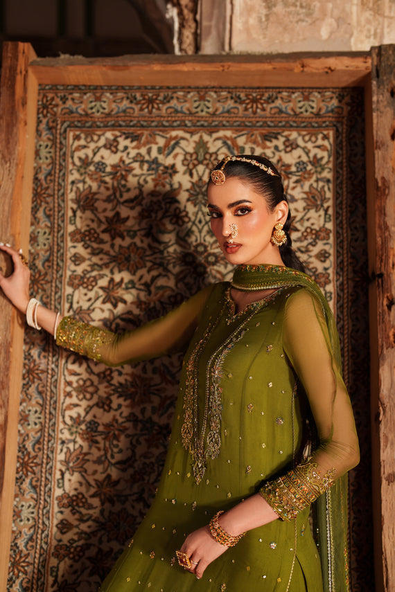 Naqshi | Kiraz Chiffon Collection | Anza
