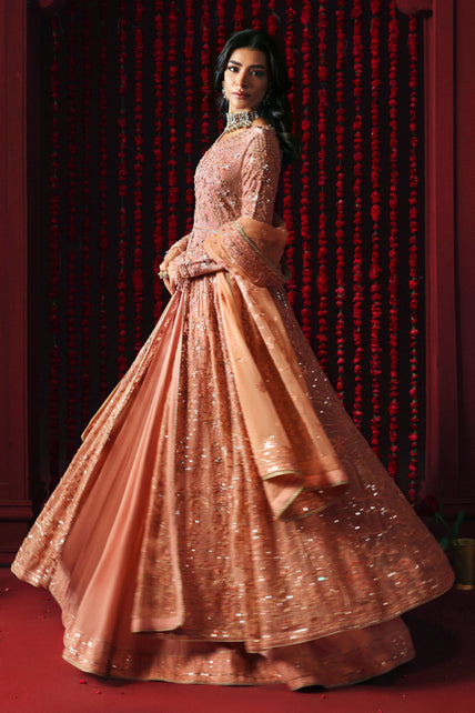Naqshi | Roshaneh Collection | Ashiayana
