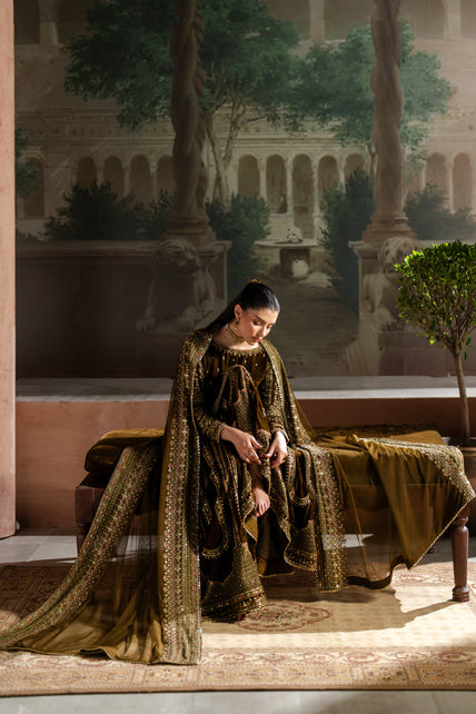 Naqshi | Nazleen Velvet | Danara