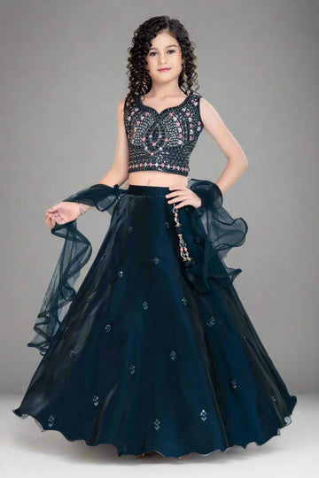 Elegant navy blue lehenga set featuring a mirror and thread-work blouse.