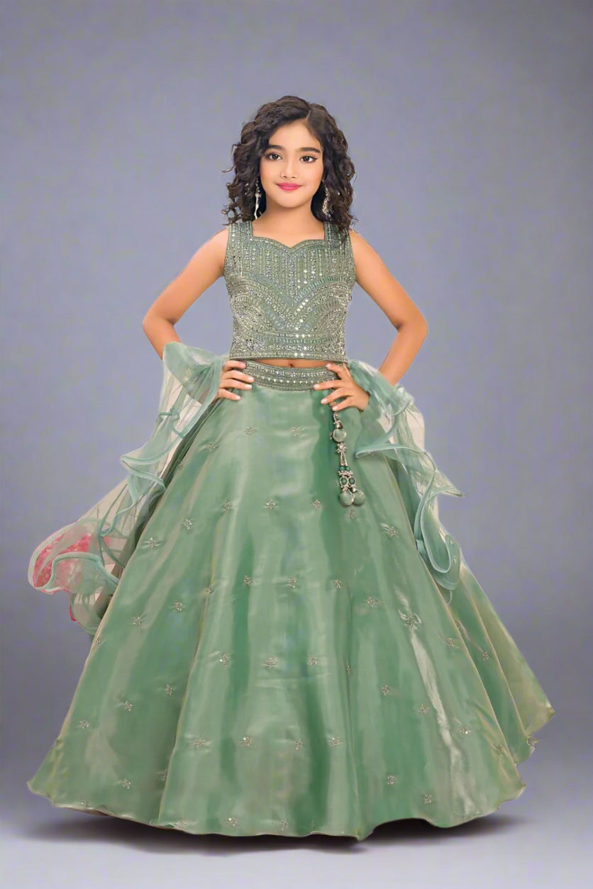 Graceful pastel green lehenga choli set with mirror embellishments. Main image