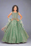 Graceful pastel green lehenga choli set with mirror embellishments.