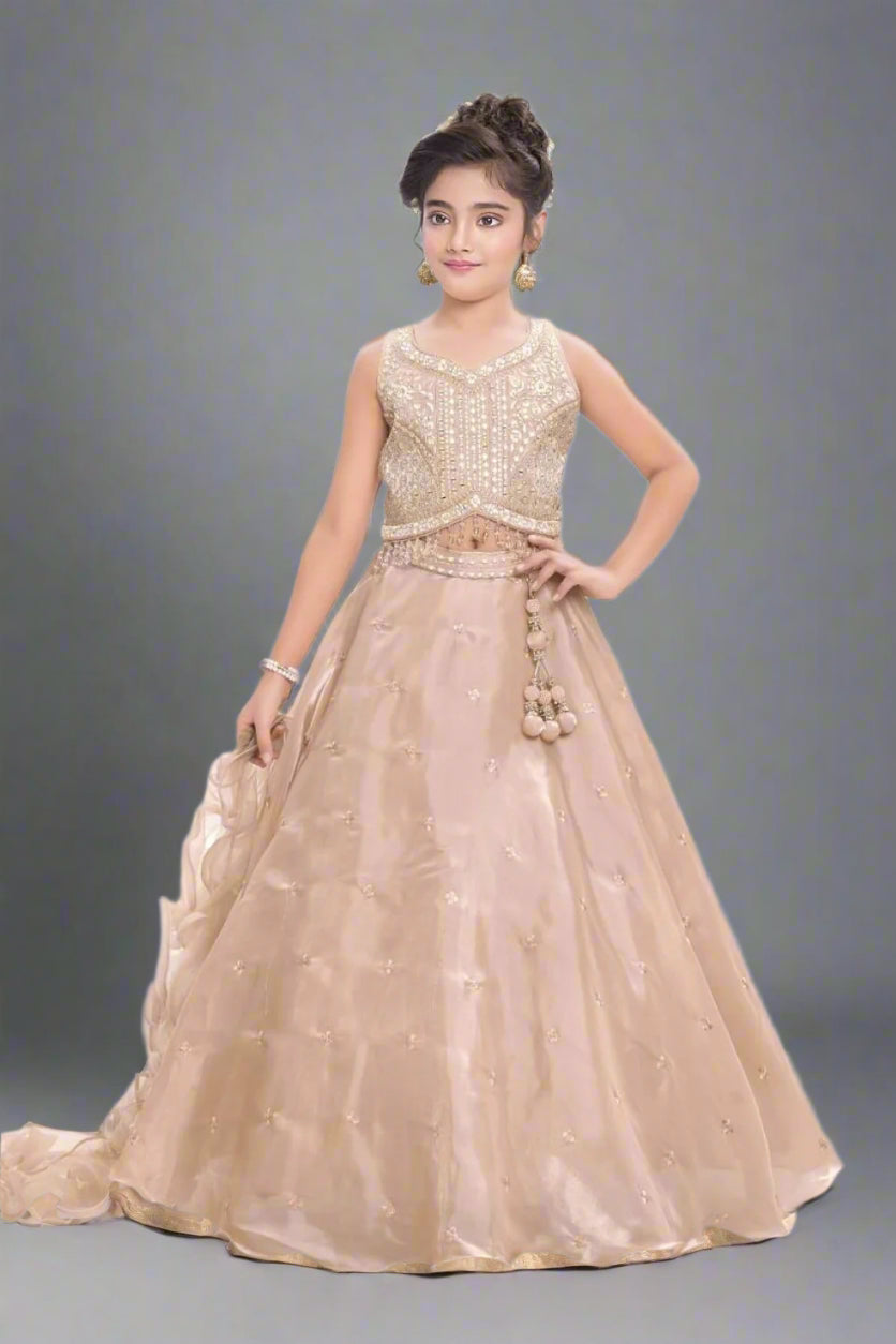 Elegant beige lehenga with delicate embroidery. Main image