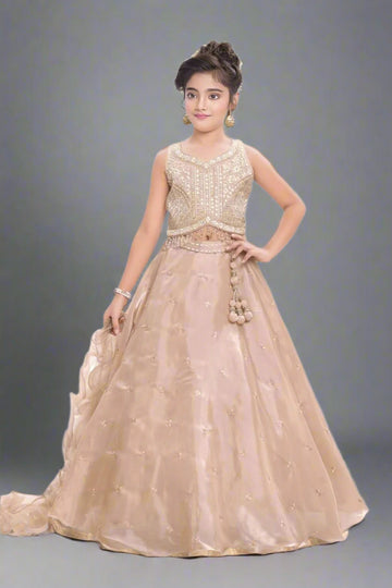 Elegant beige lehenga with delicate embroidery.