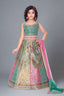 Classy multi color thread work lehenga