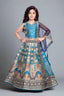 Classy blue lehenga with sequins work