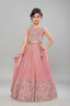 Dazzling embroidered pink lehenga for girls