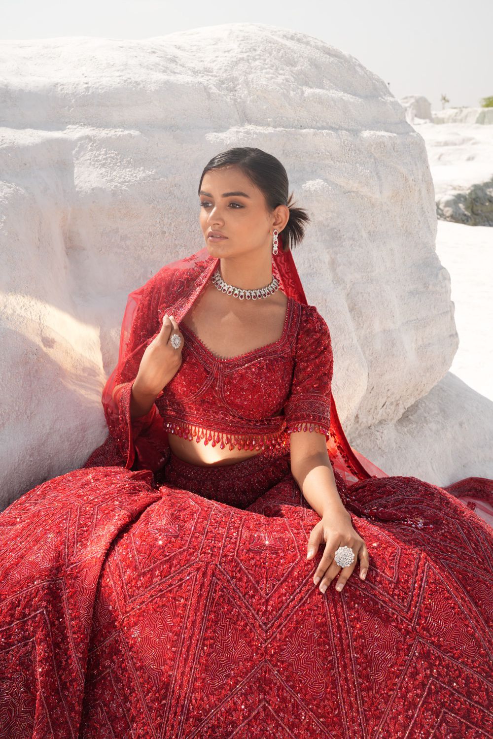 Red On Red Bridal Lehenga