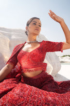 Red On Red Bridal Lehenga