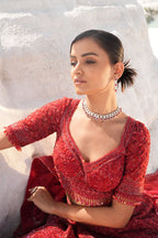 Red On Red Bridal Lehenga