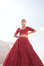 Red On Red Bridal Lehenga