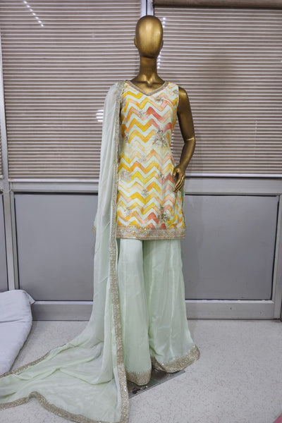Elegant Colorful sharara set with soft net dupatta