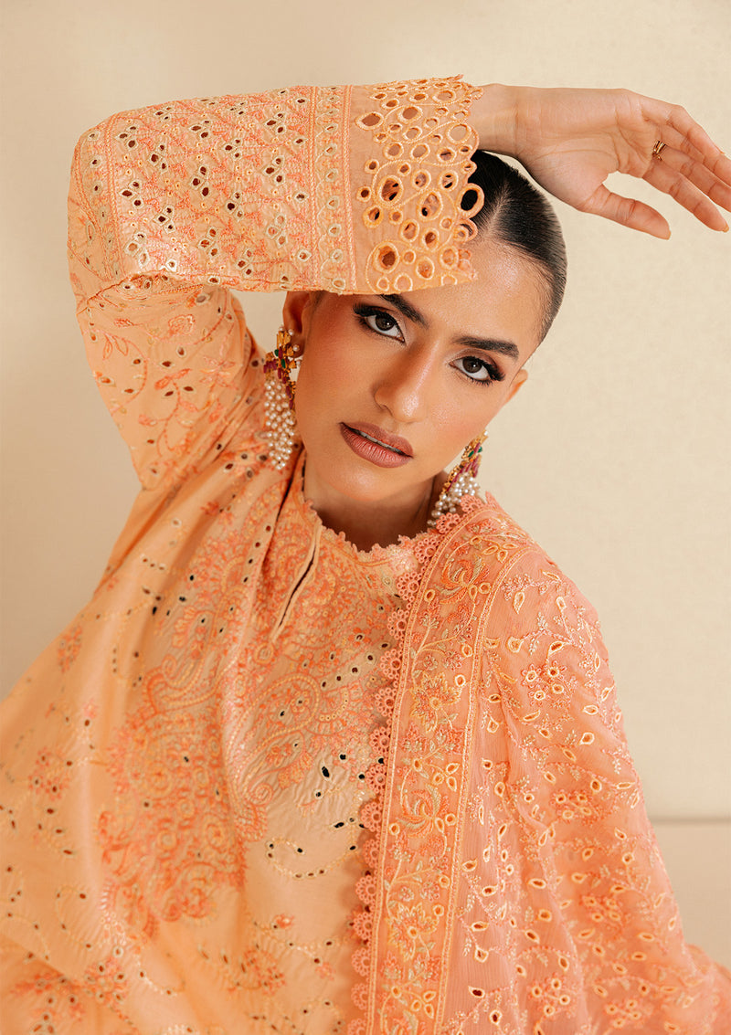 Aik Atelier | Lawn 26 | Look B2602B