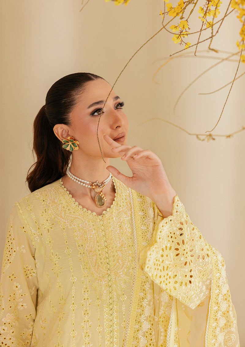 Aik Atelier | Lawn 26 | Look B2604A