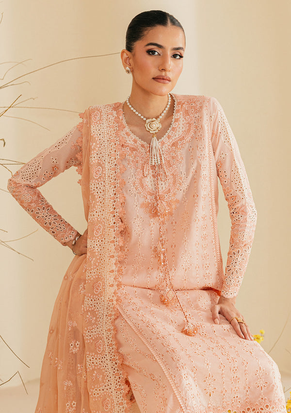 Aik Atelier | Lawn 26 | Look B2604B