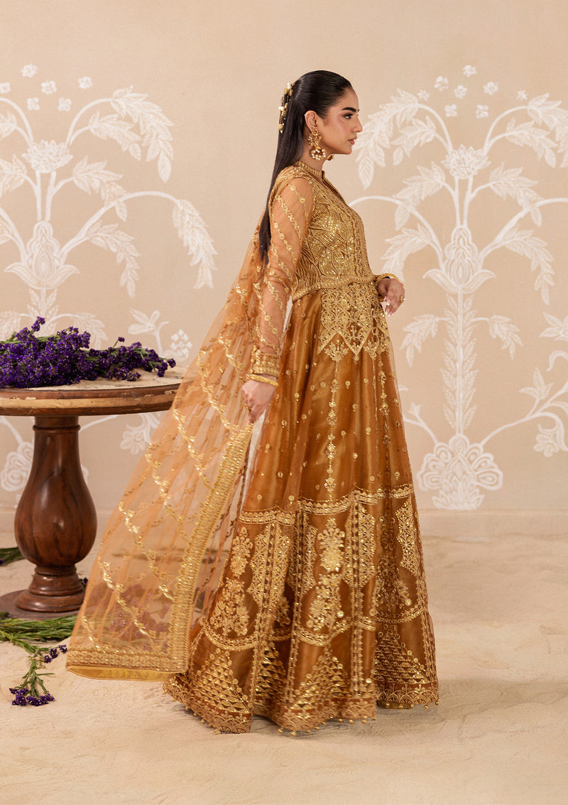 Aik Atelier | Aik Shaam 26 | AIK SHAAM - LOOK B2603