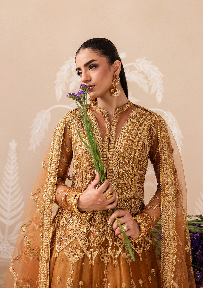 Aik Atelier | Aik Shaam 26 | AIK SHAAM - LOOK B2603