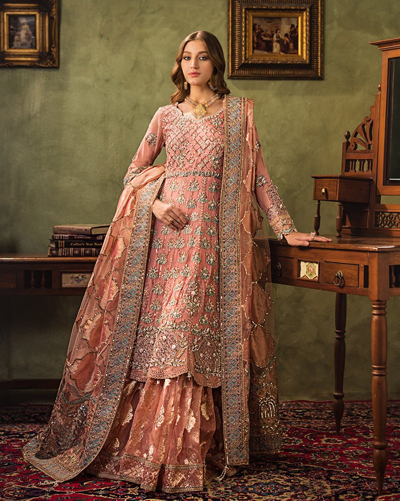 Ain | Aroosh Luxury Formals 24 | AR-96 ARZU (Pink)