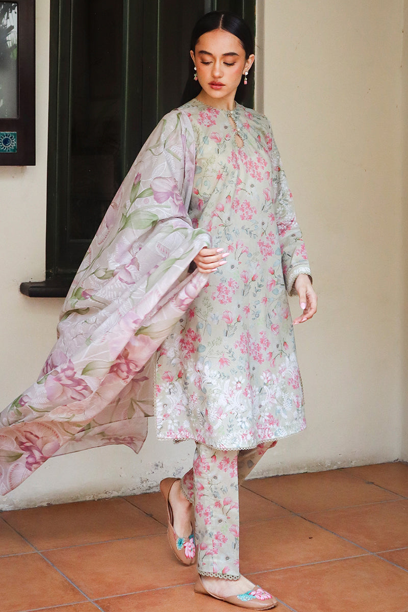 Cross Stitch | Printed Lawn | OLIVE AURA