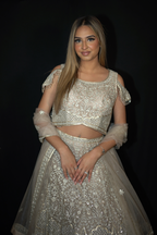 Beige Net Lehenga Set with Silver Thread Work