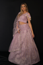Lilac Net Lehenga Set with Silver Thread Work