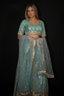 Blue Banarasi Brocade Lehenga with Zari Motifs