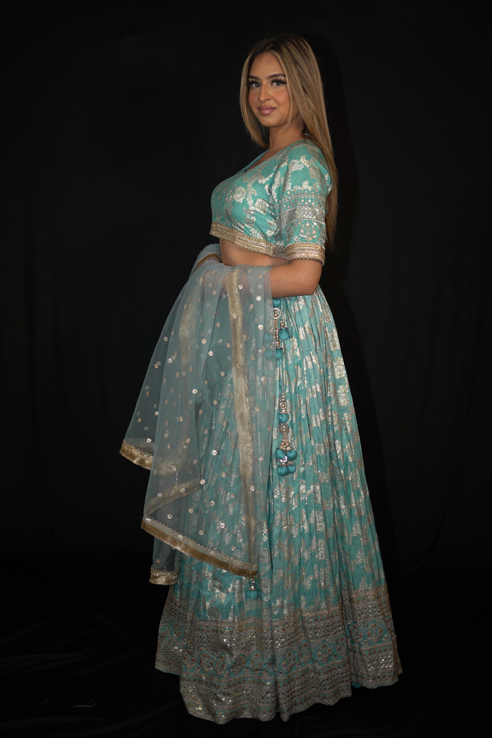 Blue Banarasi Brocade Lehenga with Zari Motifs Secondary image
