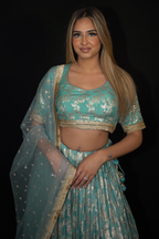 Blue Banarasi Brocade Lehenga with Zari Motifs